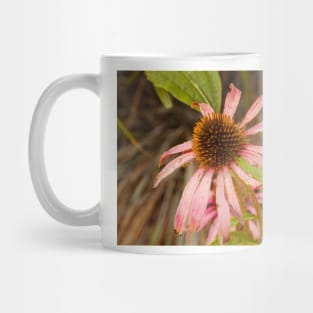 Senescence Mug